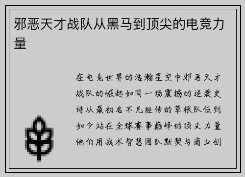 邪恶天才战队从黑马到顶尖的电竞力量